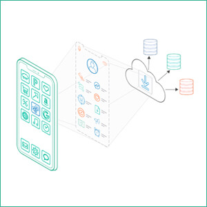 Maintaining Privacy in an Era of Transparency