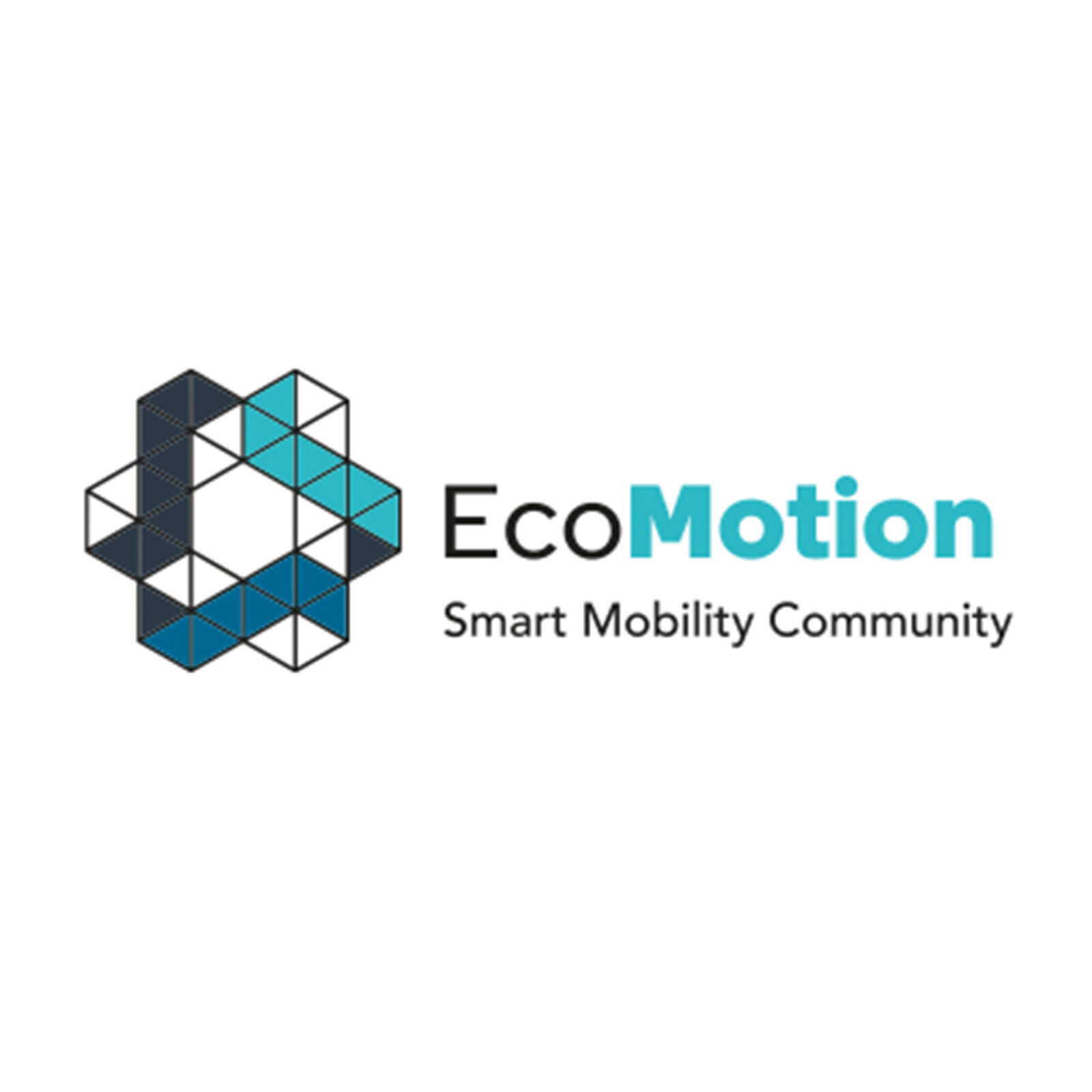 EcoMotion Logo Anagog